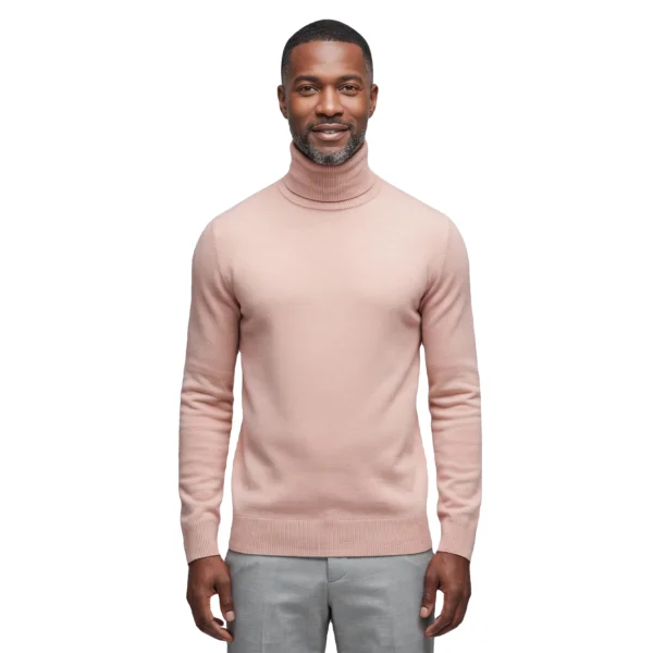 Hidden-Merino-Wool-Jersey-Turtleneck-front.webp