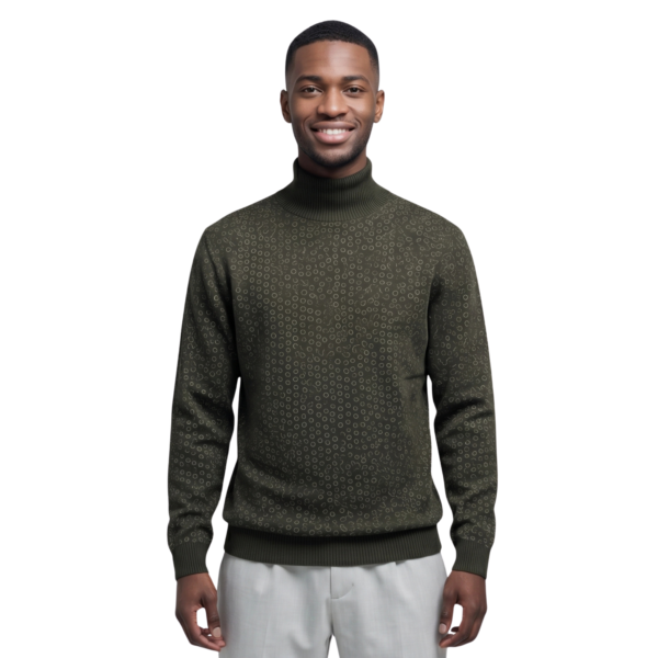Modish-Cotton-Turtleneck-front.png